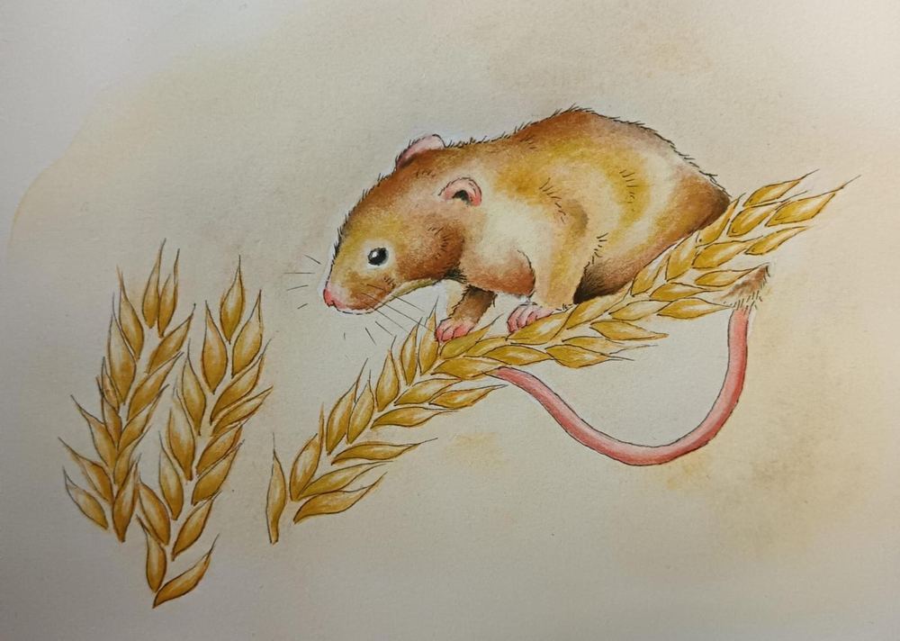 A watercolour by the Tollesbury Art Group.